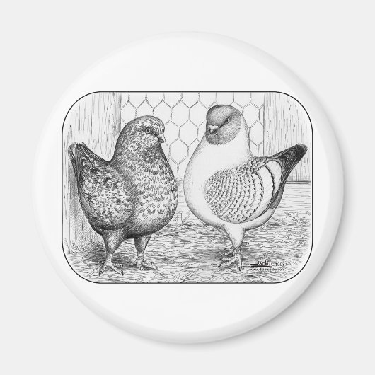 Modenas Two Magnet (Vorne)