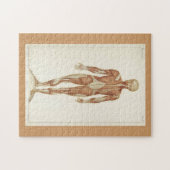 Moderate Herausforderung Vintage Anatomie-Buchseit Puzzle (Horizontal)