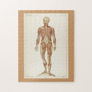 Moderate Herausforderung Vintage Anatomie-Buchseit Puzzle