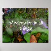 Moderation in allem Weisheit Sprichwort Poster (Vorne)