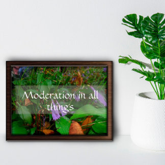 Moderation in allem Weisheit Sprichwort Poster