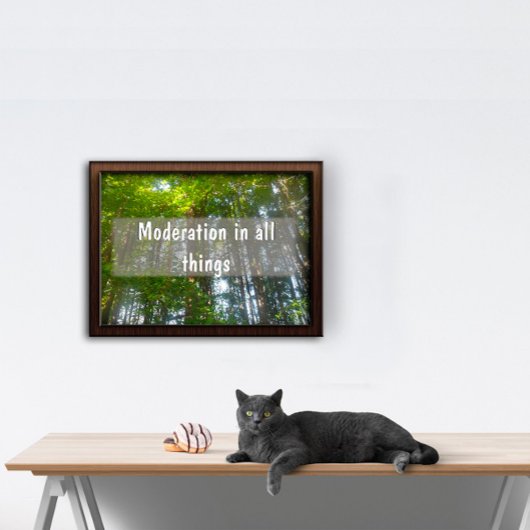 Moderation in allen Dingen Inspiration Poster