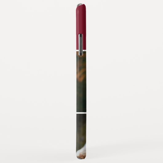 Modern 3 Foto Collage| Reine Liebe| Cranberry Case-Mate iPhone Hülle (Hinten/Rechts)