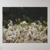 Modern Abstract Botanical Art – Nature Shapes Poster (Vorne)