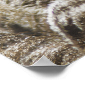 Modern Abstract Botanical Art – Nature Shapes Poster (Ecke)