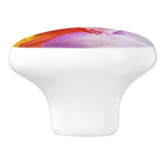 "Modern Art Blume Burst" Keramik Pull Keramikknauf (Seitenansicht)