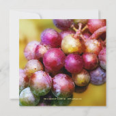 Modern Artistic Gold Weinverkostung Einladung (Rückseite)