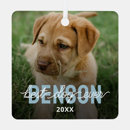 Modern Best Dog Ever Pet Foto Ornament Aus Metall (Rückseite)