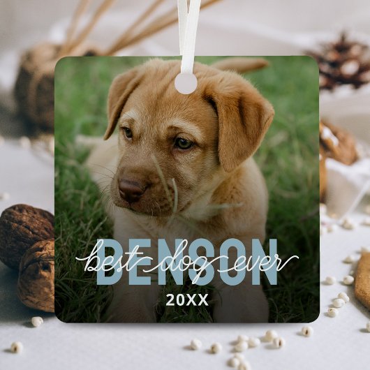 Modern Best Dog Ever Pet Foto Ornament Aus Metall