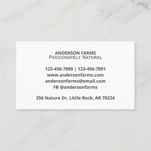 Modern Bio Bauer-Windmill-Logo Visitenkarte (Rückseite)