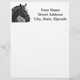 Modern Black and White Horse Briefbogen
