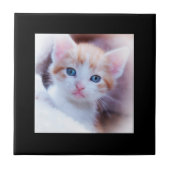 Modern Black Border Foto Fliese (Vorderseite)