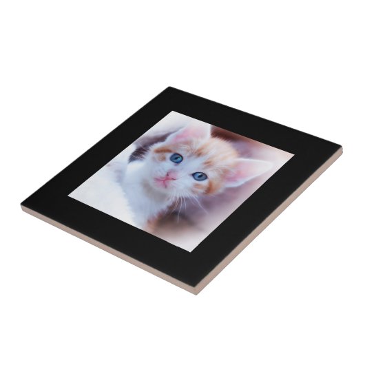 Modern Black Border Foto Fliese (Seite)