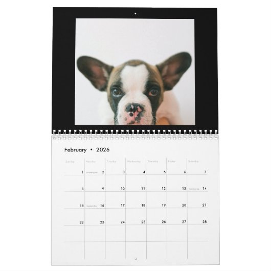 Modern Black Scrapbook Pet Photo Kalender (Feb 2026)