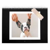Modern Black Scrapbook Pet Photo Kalender (Titelbild)