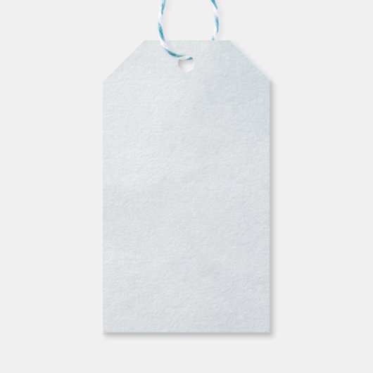 Modern Blue Balloon Eucalyptus Baby Boy Vielen Dan Geschenkanhänger (Rückseite)