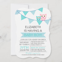 Modern Blue Bunting Pennant Owl Boy Baby Show