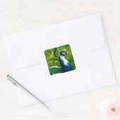 Modern Blue Peacock Sticker (Umschlag)