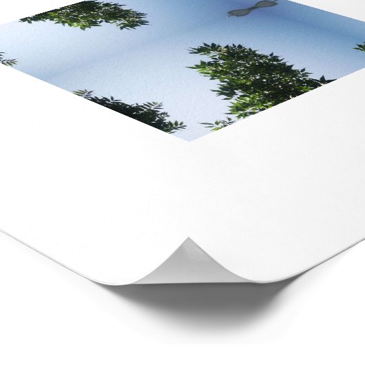 Modern Blue Sky & Tree Poster (Ecke)