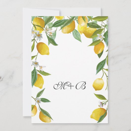 Modern Boho Lemon Summer Engagement Party Einladung (Rückseite)