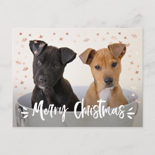 Modern Brush Script Weihnachts-Foto Feiertagspostkarte (Vorderseite)