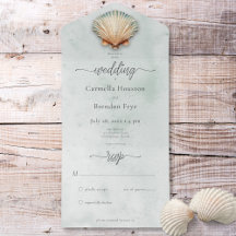 Modern Coastal Seashell Aqua Ticino