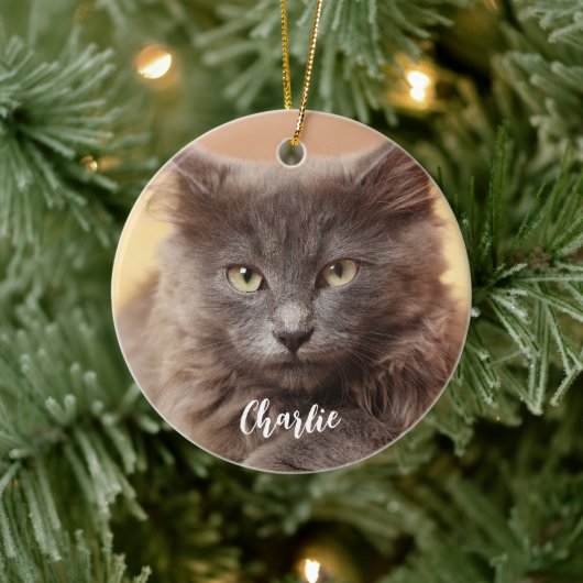 Modern Custom Foto Pet Name Keramik Ornament (Baum)