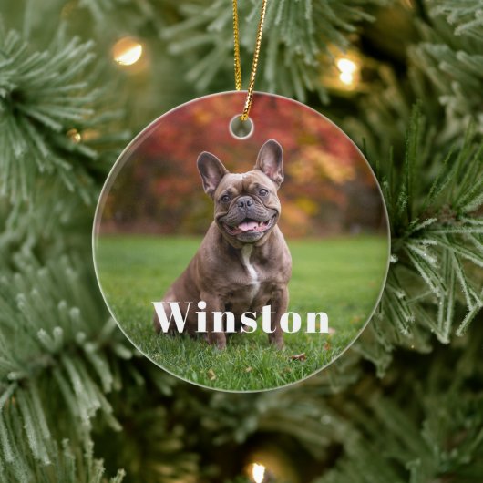 Modern Custom Pet Name Photo Holiday Keramik Ornament (Baum)