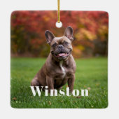 Modern Custom Pet Name Photo Holiday Keramikornament (Rückseite)