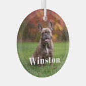 Modern Custom Pet Name Photo Holiday Ornament Aus Glas (Vorderseite Rechts)