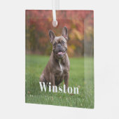 Modern Custom Pet Name Photo Holiday Ornament Aus Glas (Vorderseite links)