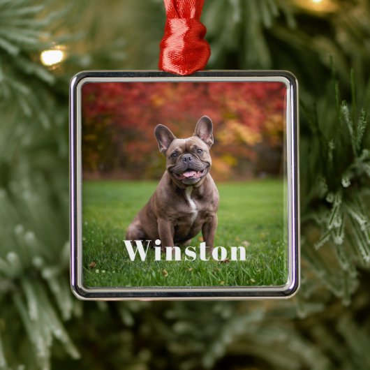 Modern Custom Pet Name Photo Holiday Ornament Aus Metall (Baum)