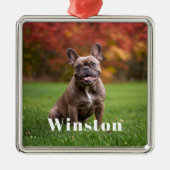 Modern Custom Pet Name Photo Holiday Ornament Aus Metall (Vorne)