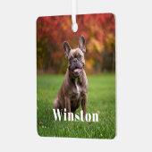 Modern Custom Pet Name Photo Holiday Ornament Aus Metall (Vorderseite links)