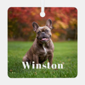 Modern Custom Pet Name Photo Holiday Ornament Aus Metall (Rückseite)