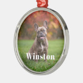 Modern Custom Pet Name Photo Holiday Ornament Aus Metall (Links)