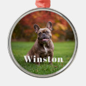 Modern Custom Pet Name Photo Holiday Ornament Aus Metall (Vorne)