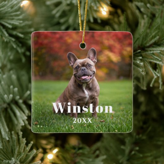 Modern Custom Pet Name Year Photo Holiday Keramikornament (Baum)