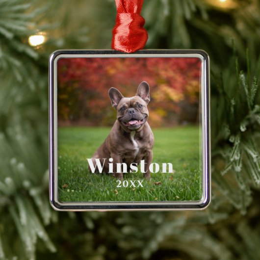 Modern Custom Pet Name Year Photo Holiday Ornament Aus Metall (Baum)