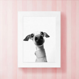 Modern Custom Pet Photo | Meeko Poster