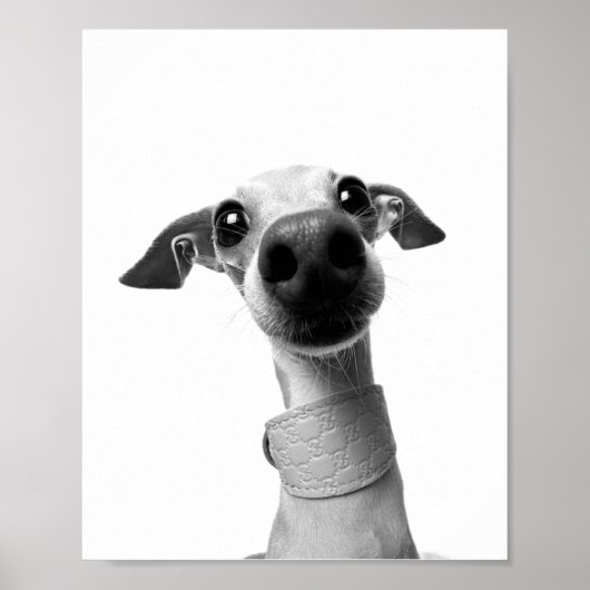 Modern Custom Pet Photo | Meeko Poster (Vorne)