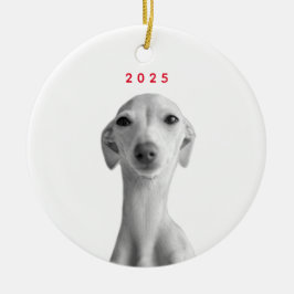 Modern Custom Pet Portrait Keramik Ornament