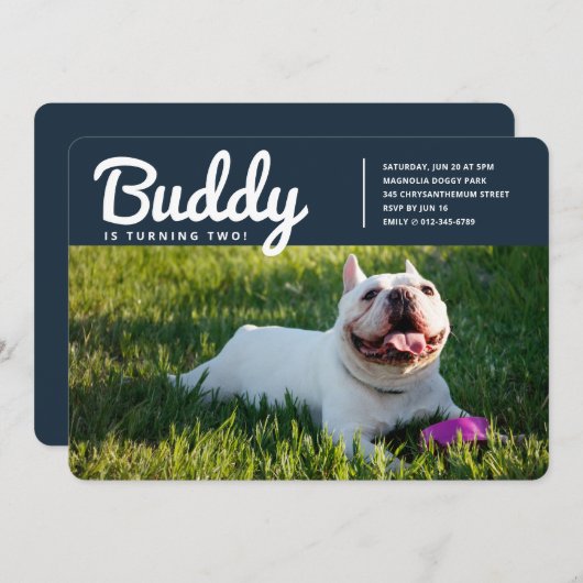Modern Custom Pet Puppy Hund Foto Geburtstag Einladung (Vorne/Hinten)