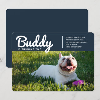 Modern Custom Pet Puppy Hund Foto Geburtstag Einladung