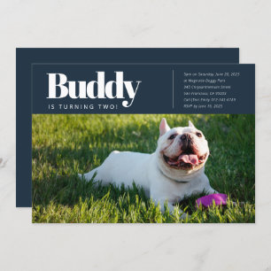Modern Custom Puppy Dog Foto Geburtstagseinladung Einladung