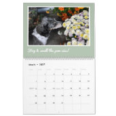 Modern Cute Dachshund Custom Pet Photos Kalender (Mär 2027)