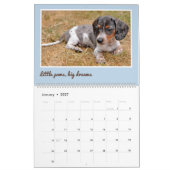 Modern Cute Dachshund Custom Pet Photos Kalender (Jan 2027)