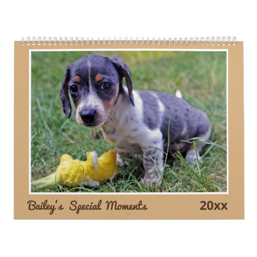 Modern Cute Dachshund Custom Pet Photos Kalender (Titelbild)