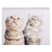 Modern Cute Funny Pet Kitten Cat Fotos Kalender (Titelbild)