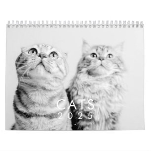 Modern Cute Funny Pet Kitten Cat Fotos Kalender
